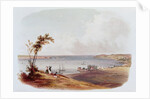 Entry to the Bay of New York, Staten Island by Karl Bodmer