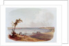 Entry to the Bay of New York, Staten Island by Karl Bodmer