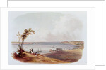 Entry to the Bay of New York, Staten Island by Karl Bodmer