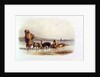 Dog Sledges of the Mandan Indians by Karl Bodmer