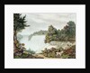 Niagara Falls, from Goat Island by William James Bennett