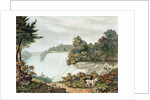 Niagara Falls, from Goat Island by William James Bennett