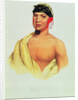 Peah-Mus-Ka, a Musquakee Chief by American School