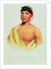 Peah-Mus-Ka, a Musquakee Chief by American School