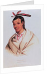Portrait of A-Mis-Quam, a winnebago brave by School American
