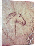 Head of a Horse by Paleolithic Paleolithic