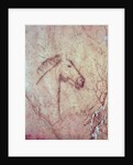 Head of a Horse by Paleolithic Paleolithic