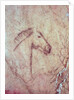 Head of a Horse by Paleolithic Paleolithic
