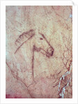Head of a Horse by Paleolithic Paleolithic