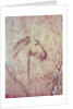 Head of a Horse by Paleolithic Paleolithic