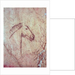 Head of a Horse by Paleolithic Paleolithic