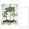 Ms Fr. Fv VI 1 fol.162r Hazelnut Bush and Cherry tree by Robinet Testard