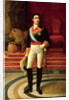 Portrait of Alfonso XII 1876 by Salvador Martinez Cubells