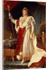 Napoleon in Coronation Robes, c.1804 by Francois Pascal Simon Baron Gerard