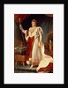Napoleon in Coronation Robes, c.1804 by Francois Pascal Simon Baron Gerard