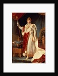 Napoleon in Coronation Robes, c.1804 by Francois Pascal Simon Baron Gerard