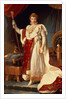 Napoleon in Coronation Robes, c.1804 by Francois Pascal Simon Baron Gerard