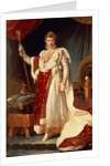 Napoleon in Coronation Robes, c.1804 by Francois Pascal Simon Baron Gerard