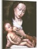Madonna and Child by Rogier van der Weyden
