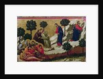 Maesta: Agony in the Garden of Gethsemane, 1308-11 by Duccio di Buoninsegna