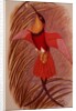 Humming Bird: Crimson Topaz by John Gould