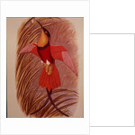 Humming Bird: Crimson Topaz by John Gould