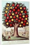 The Tree of Temperance, 1872 by N. and Ives J.M. Currier
