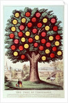 The Tree of Temperance, 1872 by N. and Ives J.M. Currier