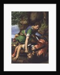 David beheading Goliath by Michiel I Coxie or Coxcie