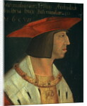 Portrait of Maximillian I by Spanish School