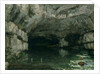 The Grotto of the Loue, 1864 by Gustave Courbet