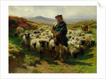 The Highland Shepherd, 1859 by Rosa Bonheur