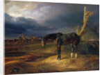 Ownerless Horse on the Battlefield at Moshaisk in 1812, 1834 by Albrecht Adam