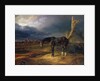 Ownerless Horse on the Battlefield at Moshaisk in 1812, 1834 by Albrecht Adam