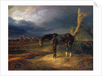 Ownerless Horse on the Battlefield at Moshaisk in 1812, 1834 by Albrecht Adam