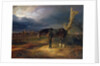 Ownerless Horse on the Battlefield at Moshaisk in 1812, 1834 by Albrecht Adam