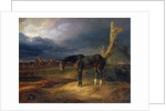 Ownerless Horse on the Battlefield at Moshaisk in 1812, 1834 by Albrecht Adam