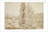 Summer by Caspar David Friedrich