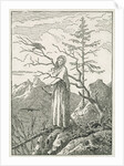 Woman with a Raven, on the Edge of a Precipice by Caspar David Friedrich