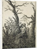 The Woman with a spider's web in the middle of leafless trees by Caspar David Friedrich