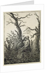 The Woman with a spider's web in the middle of leafless trees by Caspar David Friedrich