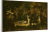 Woodland Thicket by Narcisse Virgile Diaz de la Pena
