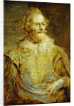 Portrait of Senator Paulus Halmalius by Anthony van Dyck