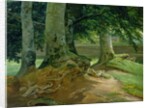 Beech Trees in Frederiksdal near Copenhagen, 1828 by Christian Ernst Bernhard Morgenstern