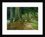 Beech Trees in Frederiksdal near Copenhagen, 1828 by Christian Ernst Bernhard Morgenstern