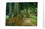 Beech Trees in Frederiksdal near Copenhagen, 1828 by Christian Ernst Bernhard Morgenstern