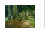 Beech Trees in Frederiksdal near Copenhagen, 1828 by Christian Ernst Bernhard Morgenstern
