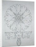 Study for a Cornflower, 1808 by Philipp Otto Runge
