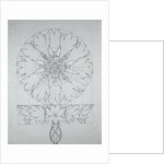 Study for a Cornflower, 1808 by Philipp Otto Runge