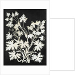 Flowers in Silhouette by Philipp Otto Runge